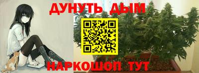 дмт Заводоуковск