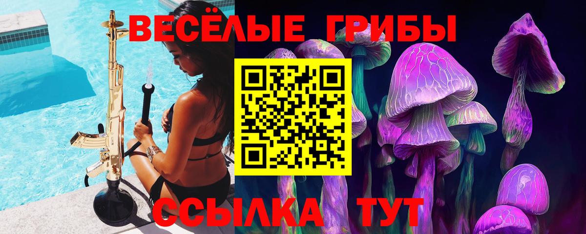 Минеральные Воды  Галлюциногенные грибы GOLDEN TEACHER  Галлюциногенные грибы GOLDEN TEACHER  Вход с VPN 