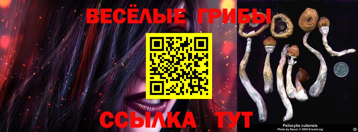 Псилоцибиновые грибы ЛСД Минеральные Воды